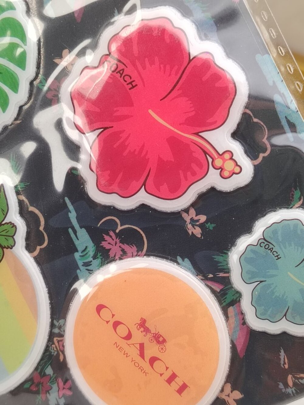 Coach sticker - Picture 2 of 5